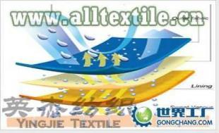 供應滌綸針織尼龍復合面料 尼龍針織尼龍復合面料_紡織、皮革_世界工廠網(wǎng)中國產(chǎn)品信息庫
